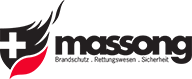 Logo von Fritz Massong Gesellschaft mit beschränkter Haftung